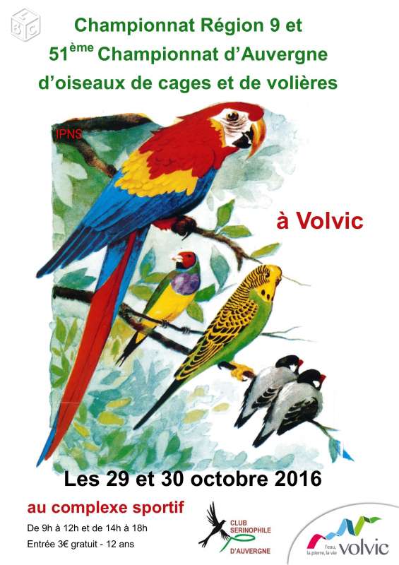 Concours/Expo d'oiseaux de cages et de volières
